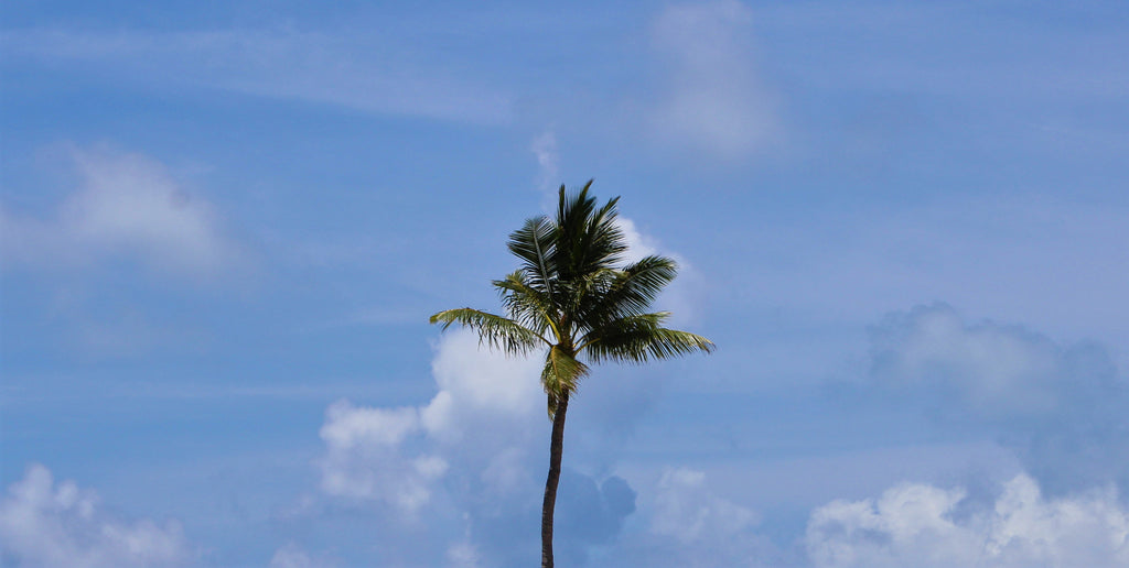 Summer in the Keys